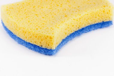 Scourer