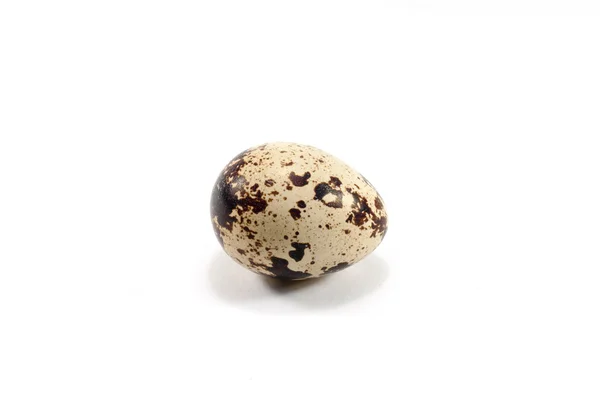 stock image Quail egg