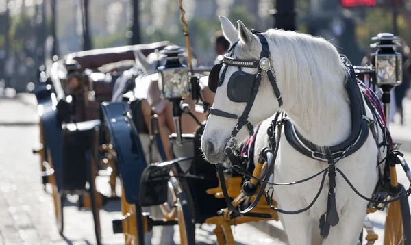 stock image Carriage spanish