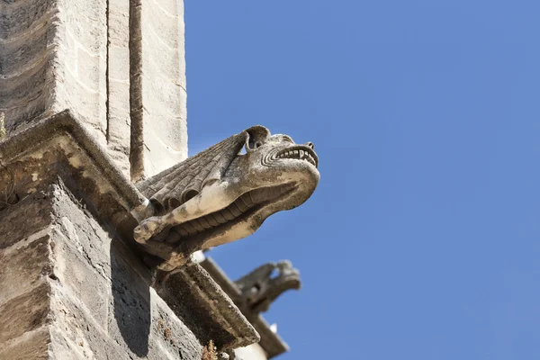 stock image Gargoyle