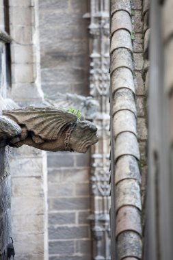 Gargoyle çatı