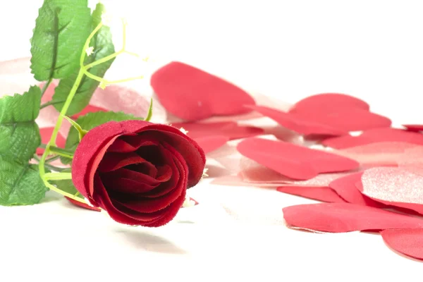 San Valentín Rose —  Fotos de Stock