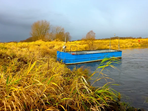 Boat in the reeds — Stock Photo, Image
