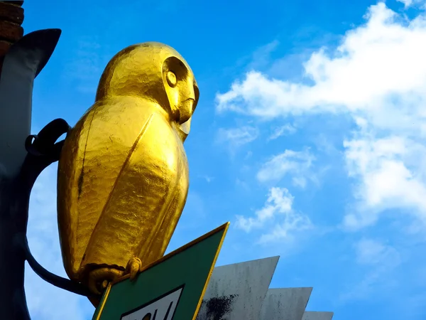 Golden owl — Stock Photo, Image