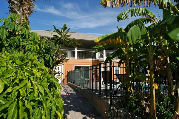 stock image Tropical walkway leading to house