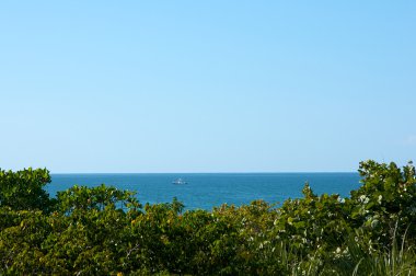 Looking over trees at gulf of mexico with boat