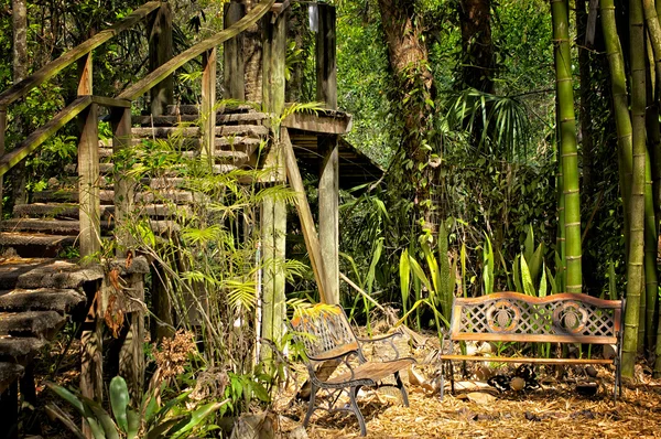 Trätrappor och bänkar i djungeln — Stockfoto