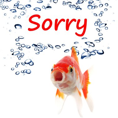 Sorry clipart