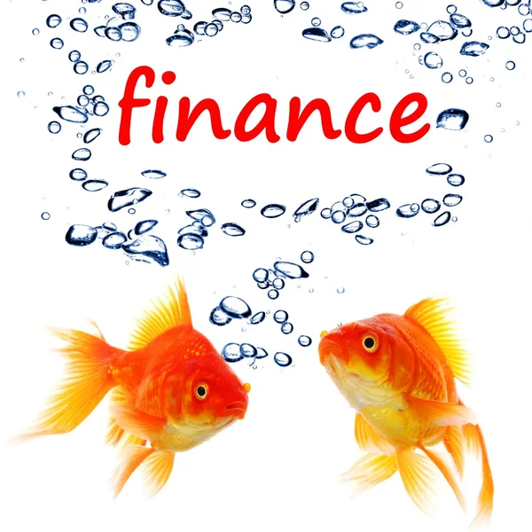 Finance — Stock Photo, Image
