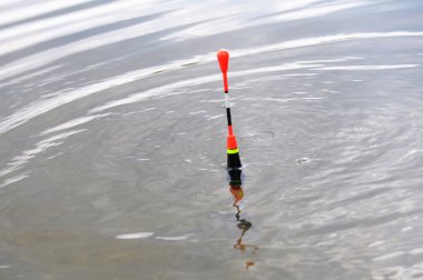 Balıkçılık float veya bobber