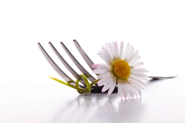 Kwiat i widelec — Stockfoto