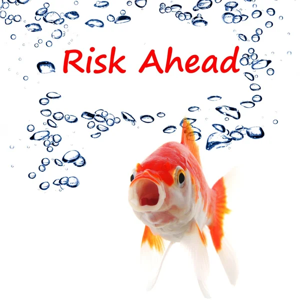 stock image Risk ahead