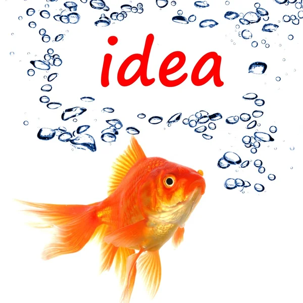 Idea — Stock Photo, Image