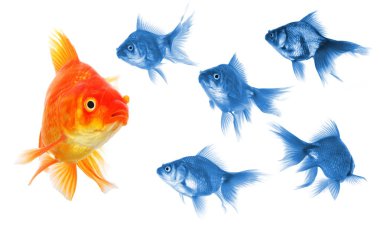 Goldfish clipart