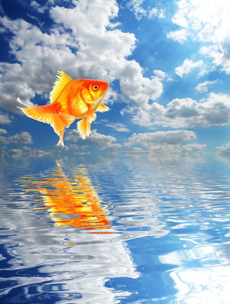 Синее небо и золотые рыбки — стоковое фото
