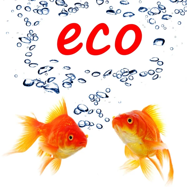 Conceito de ecologia ecológica ou ambiental — Fotografia de Stock