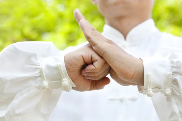 Hand van basispagina maken gebaren voor kung fu — Stockfoto
