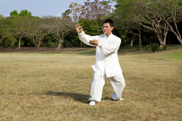 Man in a kung fu position — Stock Photo, Image