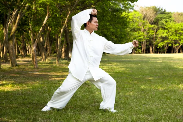 Man and kung fu position — Stock Photo, Image