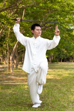 Chinese kung fu with sword clipart