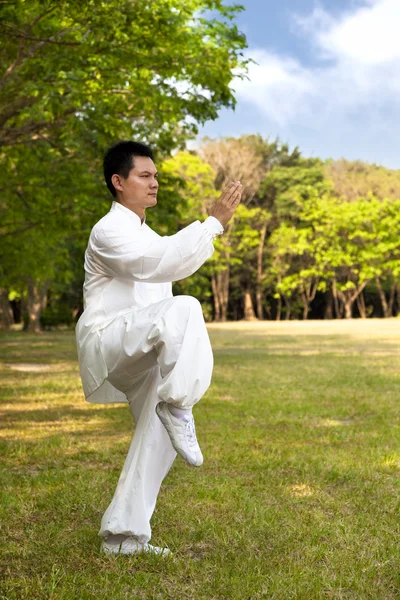 Muž a kung-fu — Stock fotografie