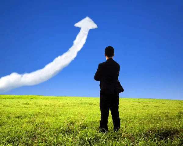 Деловой человек стоит на поле и наблюдает за облаком графика роста — стоковое фото