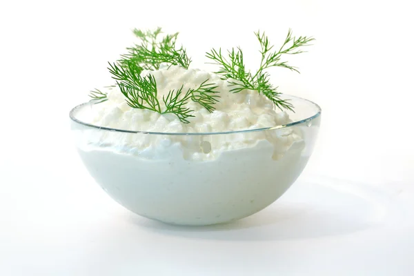 Fresh cottage cheese and fennel — Stock Photo, Image