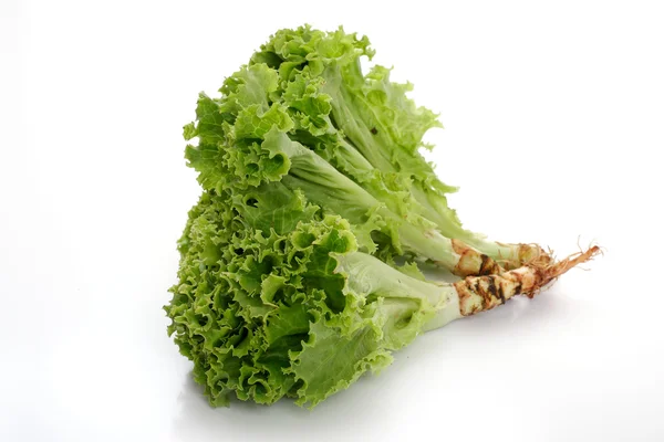 Salada verde em um fundo branco — Fotografia de Stock