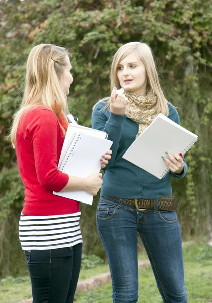 Two Polish girls schoolgirls chat — Stock Photo, Image