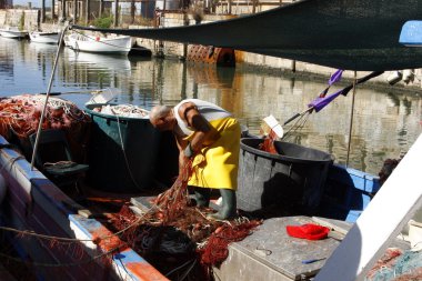 livorno, liman balıkçılık yapıldı.