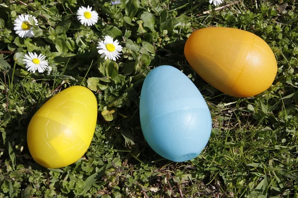Papatya ile çim üç yumurta — Stok fotoğraf