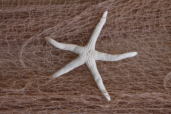 Starfish in the network — Stock Photo, Image