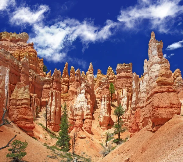 Bryce Canyon Np — Stockfoto