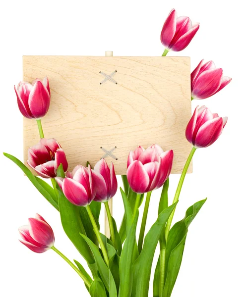 Hermosos tulipanes y signo vacío para mensaje / panel de madera / iso — Foto de Stock