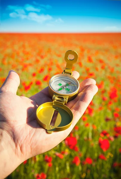 stock image Compass in a Hand / Discovery / Beautiful Day / Red Poppies in N