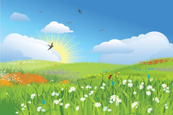Prairie colorée / fleur et herbe / vecteur — Image vectorielle