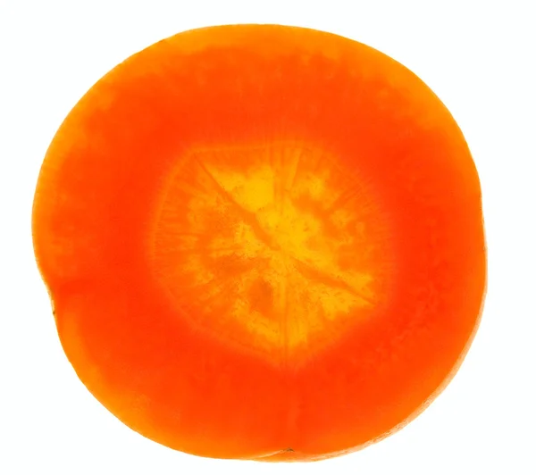 Carrot slice on white / super close-up / with backlight — Stock Photo, Image