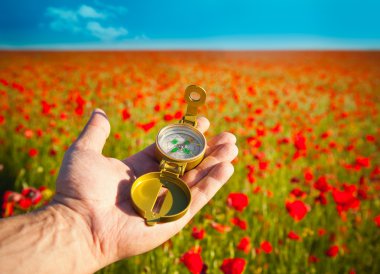 Bir elinde pusula / Discovery / güzel gece / kırmızı Poppies n