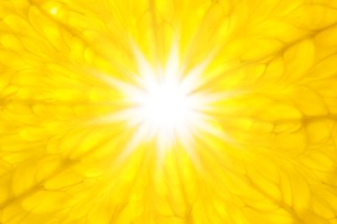 Orange like Sun / Super Macro / background clipart