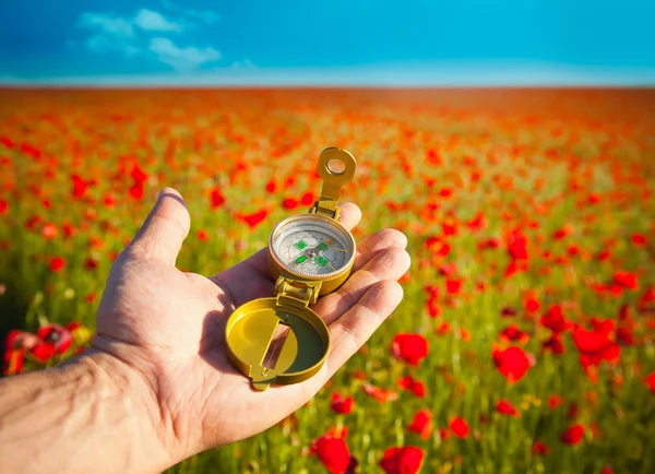 Kompas in een Hand / Discovery / mooie dag / rode papavers in N — Stockfoto