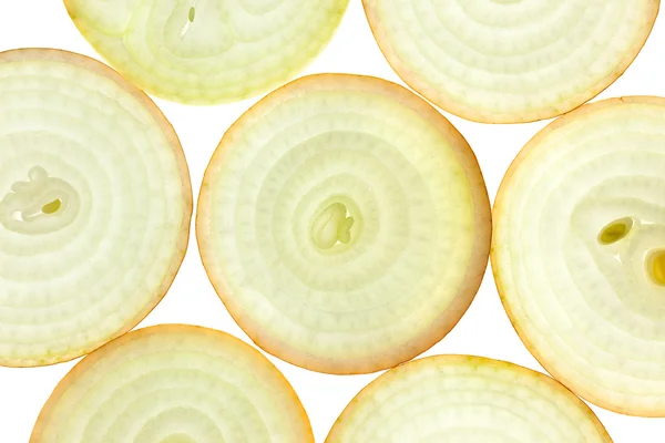 Fette di cipolla fresca / fondo / retro illuminato — Foto Stock