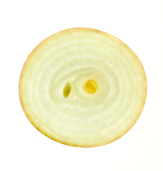 Rebanada de una cebolla fresca / espalda iluminada / aislada en blanco —  Fotos de Stock
