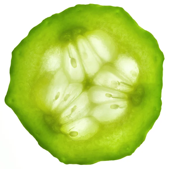 Cucumber slice / isolated on white / back lit — Stock Photo, Image