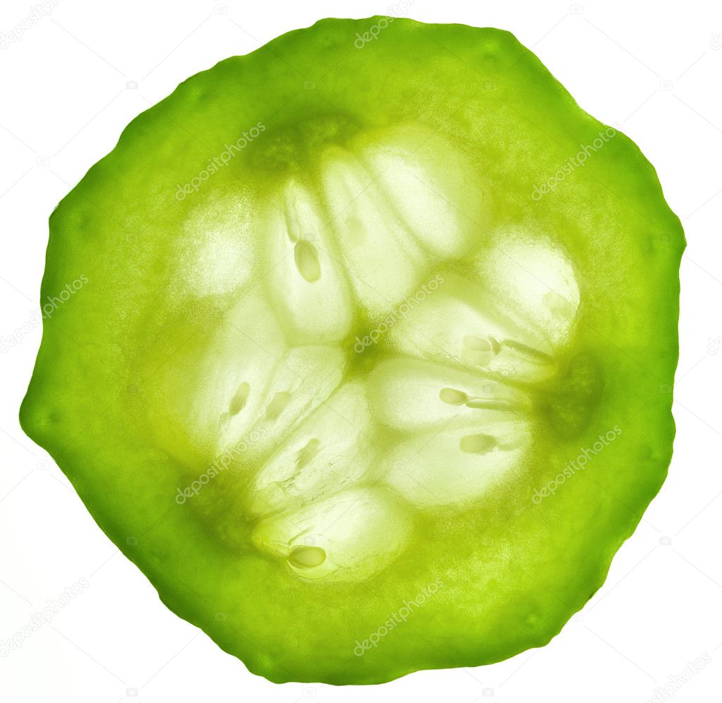 Cucumber slice / isolated on white / back lit
