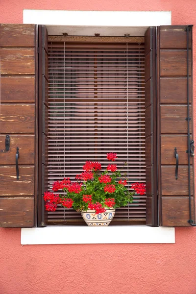 Altes europäisches Fenster / mit Blumen und Holzfensterläden — Stockfoto