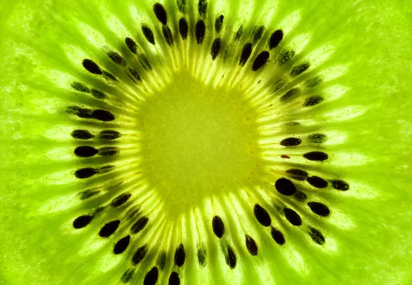 Fresh Kiwi background / SuperMacro / back lit — Stock Photo, Image