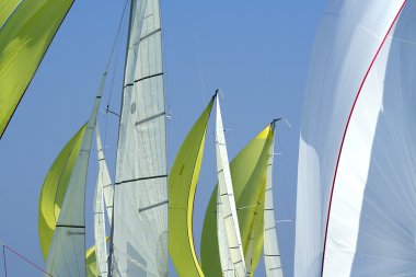 Sailing in Good Wind / sails background clipart