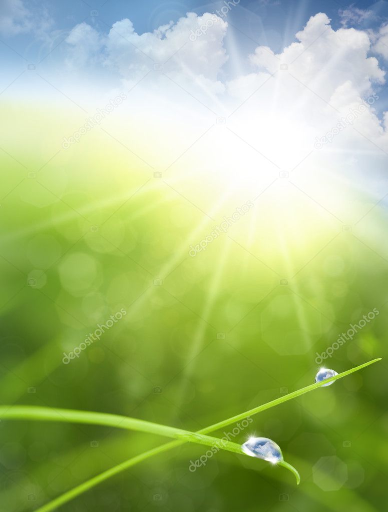 Eco background with Sky, Grass, Water Drops and Cloud reflection