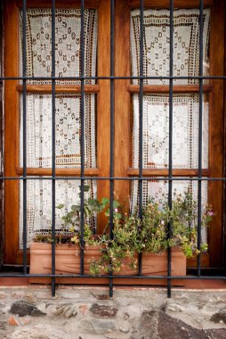 Window with grates clipart