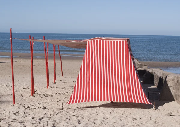 Crapul pe plajă — Fotografie, imagine de stoc